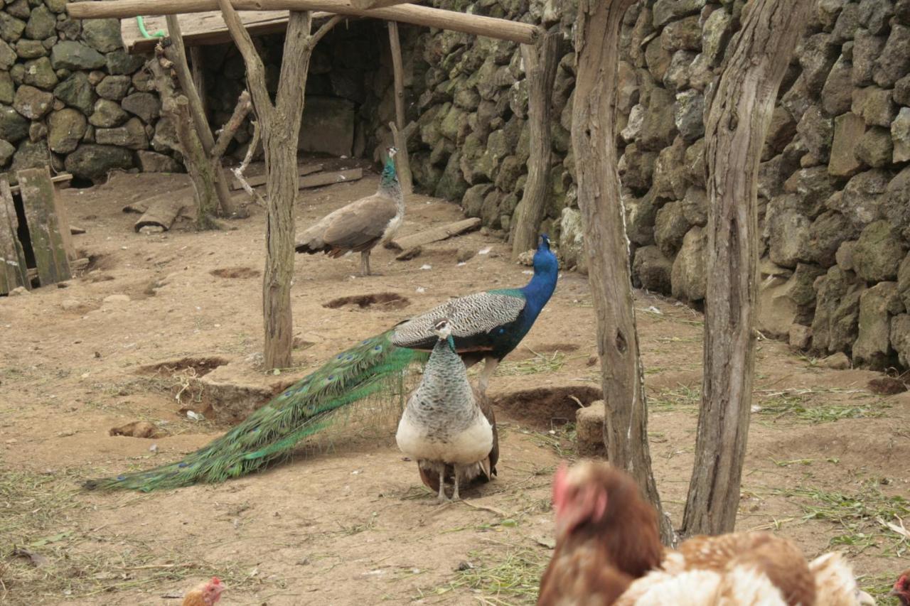 プライア・ダ・ヴィクトーリア Quinta Rico - House IIヴィラ エクステリア 写真